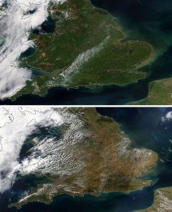 Images of UK before and after heatwave showing brown areas